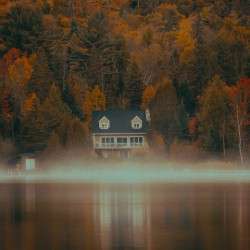 Morning Fog