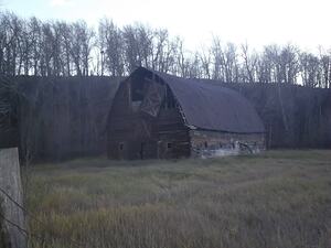 Old Barn 1
