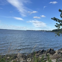 Beachlike