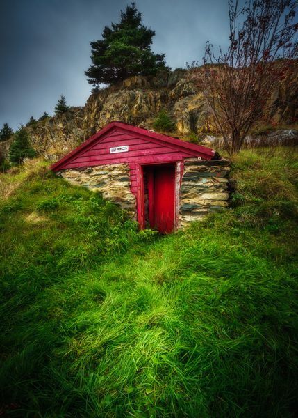 Root Cellar Print