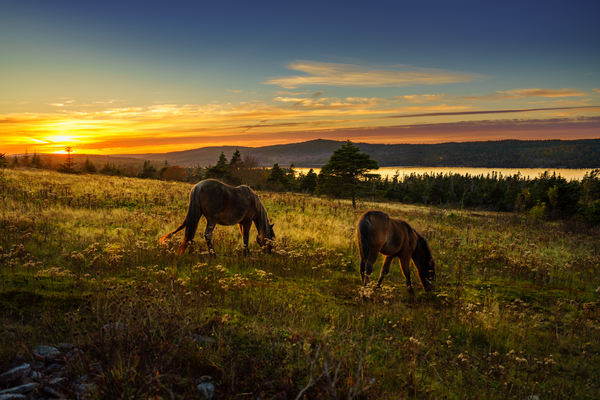 Peaceful Sunset by Helen Milley