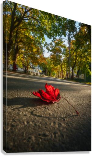 Rush Hour Canvas Print