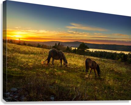 Peaceful Sunset Canvas Print