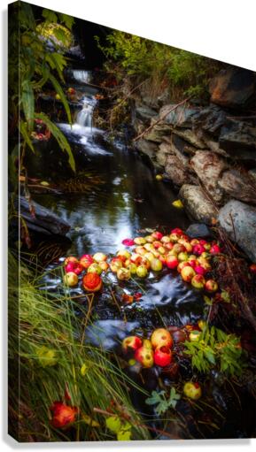 Down Stream Canvas Print