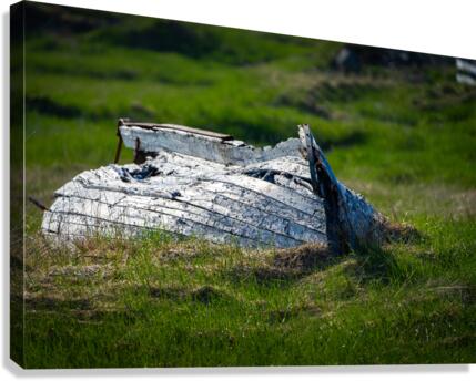 Old Bones Canvas Print
