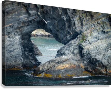 Mouse Hole Canvas Print