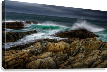 Motion Canvas Print