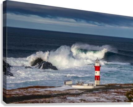 The Wave Canvas Print