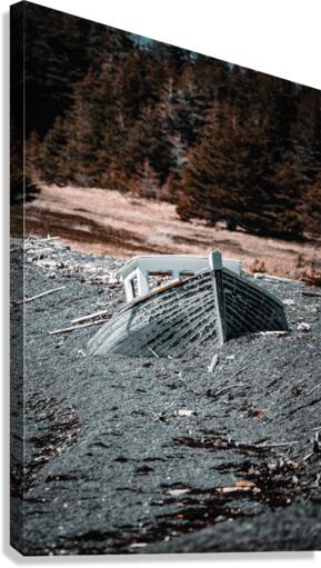Stranded Canvas Print