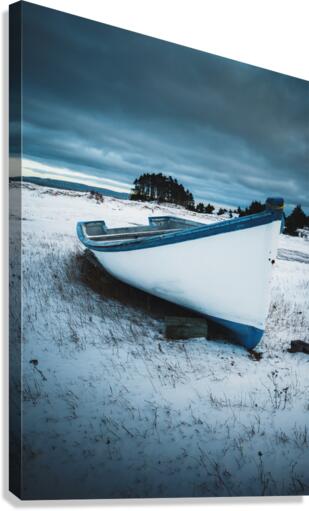 Feeling Blue Canvas Print