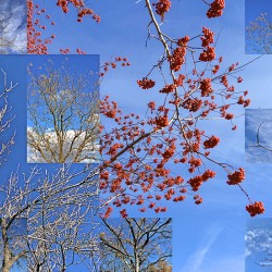 Almost Spring