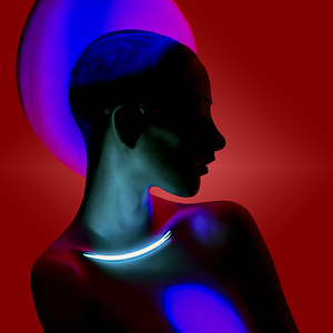 Lady