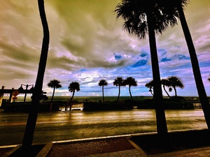 Florida Sun Selects 2