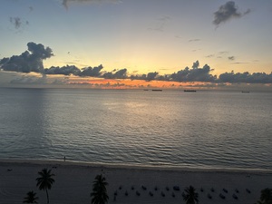 Florida Sun Selects 12
