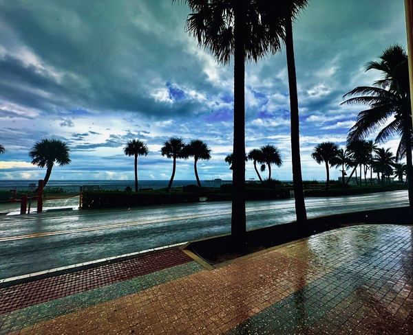 Florida Sun Selects 3 Print
