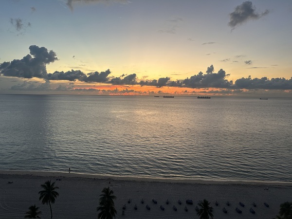 Florida Sun Selects 12 Print