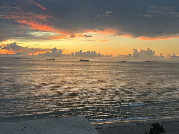 Florida Sun Selects 7 Print