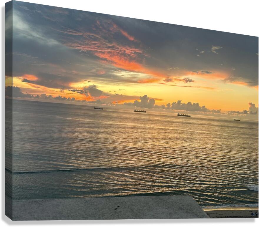 Florida Sun Selects  Canvas Print