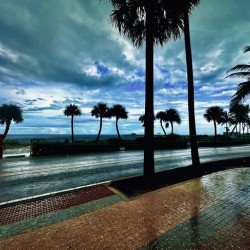 Florida Sun Selects 3