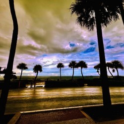 Florida Sun Selects 2