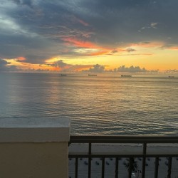 Florida Sun Selects 14