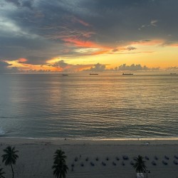 Florida Sun Selects 13