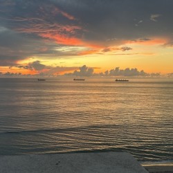 Florida Sun Selects 5