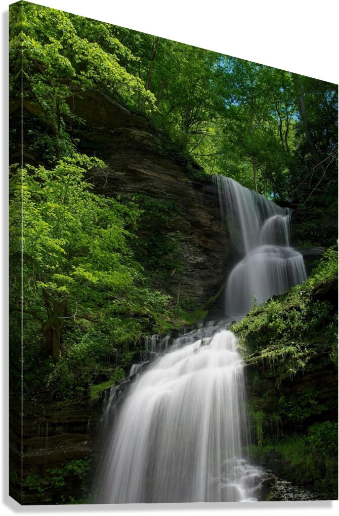 Flow Rush Canvas Print