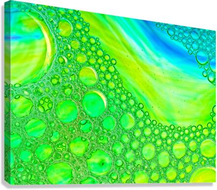 Bubble Plunge Canvas Print