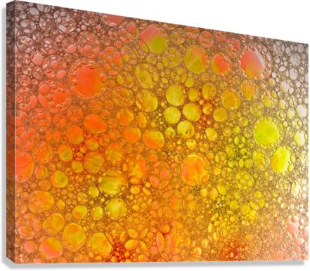 Sunny Bubble Canvas Print