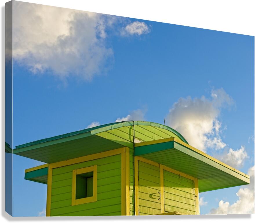 Lime Green Save Canvas Print