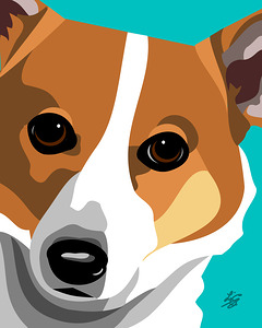 Corgi Illustration Portrait
