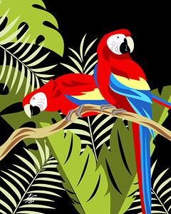 Stylized Two Scarlet Macaws