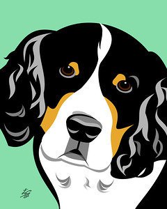Bernese Mountain Dog Illustration