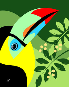 Keel-billed Toucan