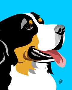 Bernese Mountain dog