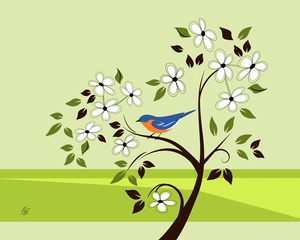 Bluebird In Flowering Tree