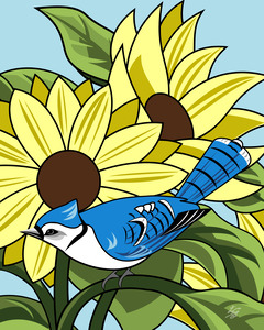 Blue Jay Among Sunflowers
