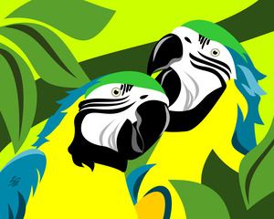 Yellow and Blue Macaw