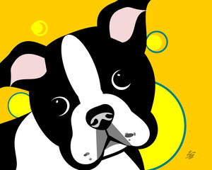 Boston Terrier Dog Face