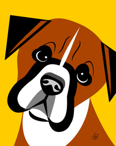 Boxer Dog Portrait