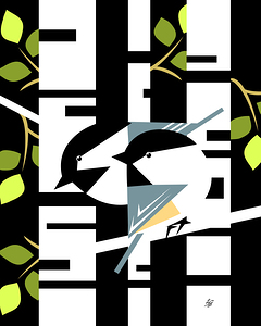 Chickadees Perched on Birch Tree