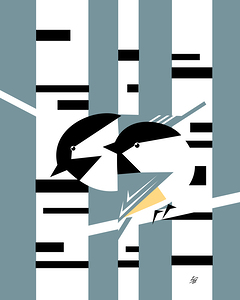 Black Capped Chickadees On Birch Tree