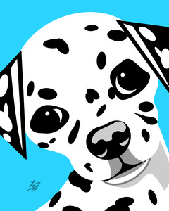 Dalmatian Puppy