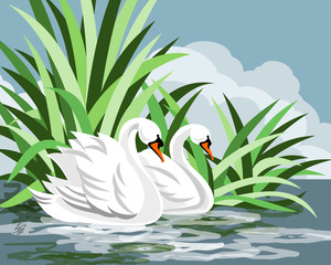 Mute Swans