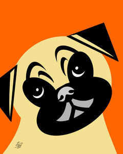 Cute Pug Dog