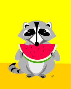 Raccoon with Watermelon