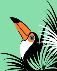 Toco Toucan