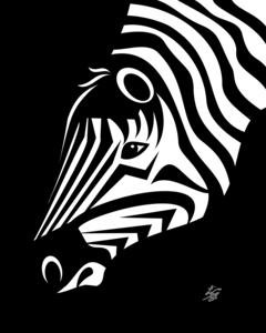 Zebra Portrait
