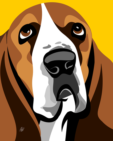 Basset Hound Vector Portrait Print
